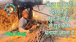 गुड़ की फैक्ट्री #Kyampur #UttarPradesh #VillageLife #IndianVillage
