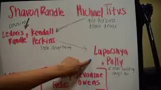 Shavon Randle - Suspect Breakdown