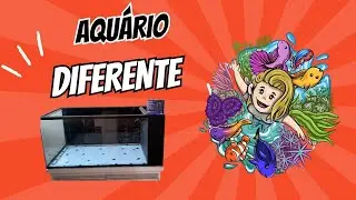 Aquário Plantado sem luminária,  montado ao lado fe uma janela . 