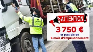 Carte Chronotachygraphe /  Carte Conducteur  / بطاقة السائق