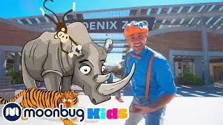 Blippi Visits a Zoo (Phoenix Zoo) | Blippi | Kids Songs | Moonbug Kids