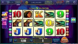 casino slots  brazil 蝴蝶  韩国赌场热门老虎机