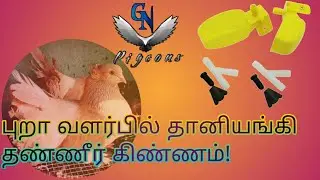 How to install AUTOMATIC WATER DRINKER || TUTORIAL || GN Pigeons || தமிழ் ||