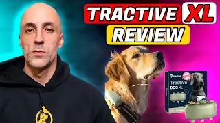 Обзор GPS-трекера для собак Tractive XL &mdash; действительно ли он работает?