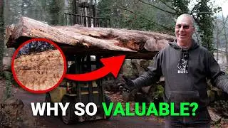 Why Invest in a LiveEdge Slab? Our Process from Log to Slabs