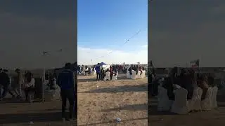 Basant | Basant festival in kuwait | Pakistanis in Kuwait #ytshorts #youtubeshorts #youtube