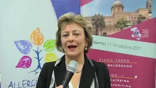 Chi sono gli imenotteri?