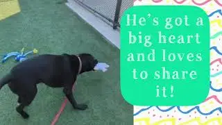 MEET PONTOON AT KC PET PROJECT 