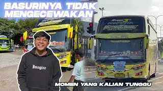 Biasanya Cuman Reaction Akhirnya Ketemu Bus Viral Putra Gresik Full Basuri (Aktor Nyender)