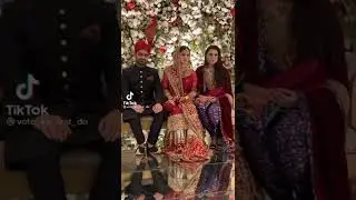 MPA sania ashiq pmln wedding videos