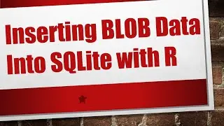 Inserting BLOB Data Into SQLite with R