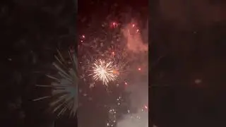 Savage AF 100 Shot Cake!