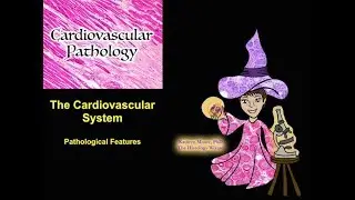 The Cardiovascular System: Pathology
