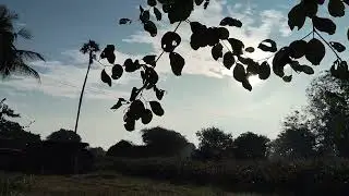Documentary on my village Dhanpur 💕