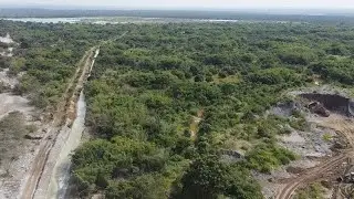 Замбийские фермеры подали в суд на китайскую горнодобывающую компанию из-за разлива токсичных вещ...