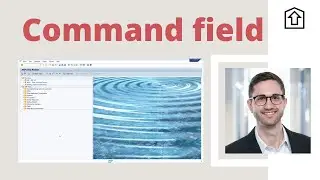Valuable Tips and Tricks for the Command Field in SAP ERP and SAP S/4HANA