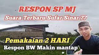Respon SP MJ ‼️ Suara panggil walet terbaik.Sufar sinar 77