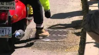 Toronto&rsquo;s West Nile Virus prevention program underway