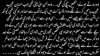 Urdu Novel 