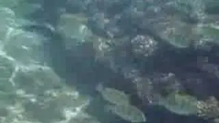 GoPro Digital Hero Camera 3