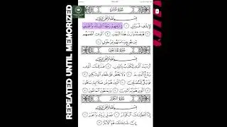 Ziyad Patel 106 Quraisy #reciter #qari #TilawahQuran #Murottal #Quran #hafalanquran #hafiz #tahfidz