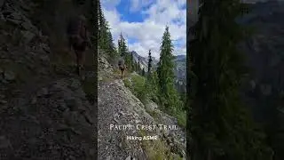 I just love hiking in Washington state 🥲😍 #pacificcresttrail2026 #asmr #hiking #pct2026