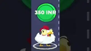 chicken7