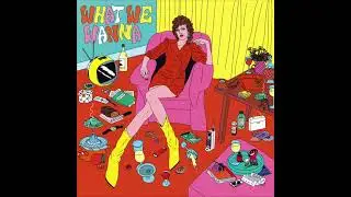 What We Wanna - Magic City Hippies