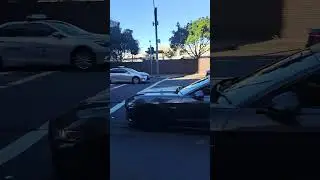 mustang roar