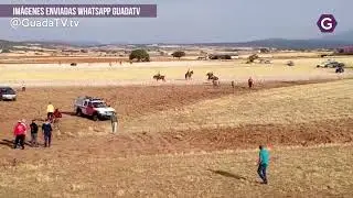 Herido leve un caballista en el encierro de Humanes GuadaTV