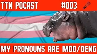 They Talk Now Podcast #3: My Pronouns are Moo/Deng