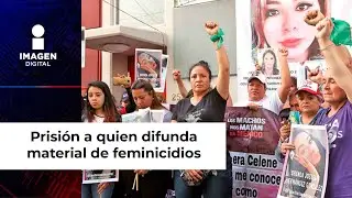Ley Ingrid: Prisi&oacute;n a quien difunda material de feminicidios