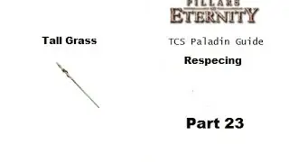 TCS Paladin Guide - Pillars of Eternity PART 23 ACT 2