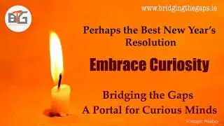 Bridging the Gaps: Embrace Curiosity