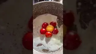 Fried Egg Flower