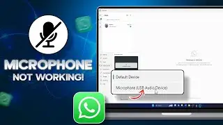 Fix Microphone Not Working on WhatsApp PC | Resolve WhatsApp Desktop Audio Issues