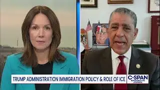 Rep. Adriano Espaillat on the Role of ICE and Trump Foreign Policy Goals