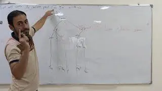 المحاضرة السابعة عشر علم اللغة المرحلة الثالثة