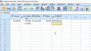 06- الاحصاء ببساطه – أنواع المتغير في برنامج SPSS