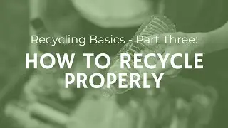 Recycling Basics: How to Recycle Properly