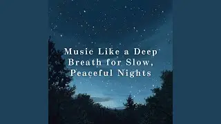 Daydreams Melt into Midnight
