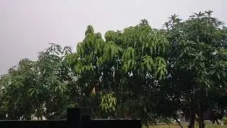 The sound of heavy rain in front of the house accompanied by lightning and strong winds