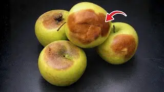 Don't throw away rotten apples. The more rotten it is, the more valuable it is!