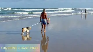 Sunshine Coast Vibes - Noosa, Glass House Mountains, Buderim, Mooloolaba and K'gari