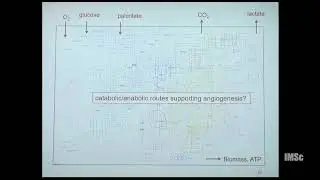 Unearthing the metabolic basis of angiogenesis A systems biology perspective by Abhishek Subramanian