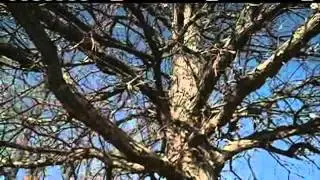 Omaha Begins N.P. Dodge Park Cleanup