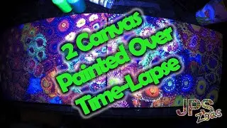 2  Zoa Garden canvas Time Lapse