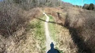 West Side Trail to Cousin's Island