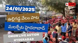 Onion price today, malakpet, hyderabad, 24/01/2025 | Live Auction #onionpricetoday  #greenonion