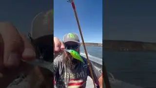 🎣 Our trolling setup is SLAYING crappie! Gear tips & bait secrets inside! 💥🐟 #crappiefishing #fyp